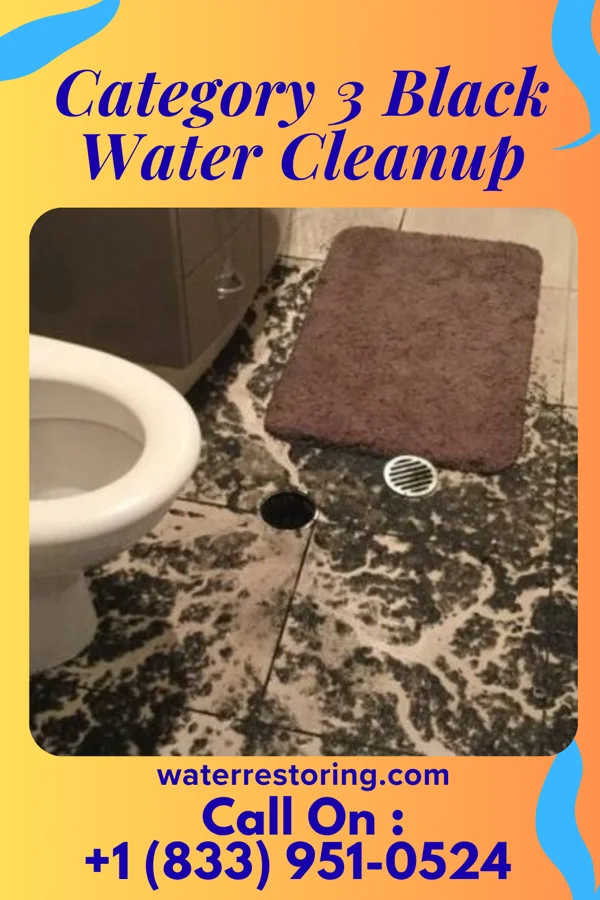 Category 3 Black Water Cleanup in Wind Lake, WI