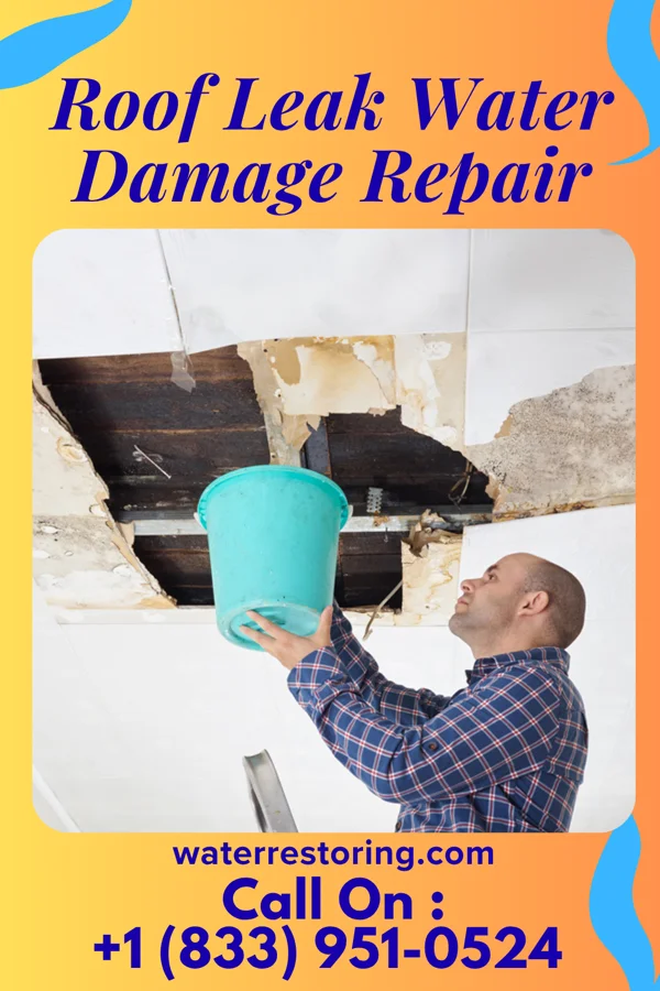 Roof Leak Water Damage Repair in Wind Lake, WI