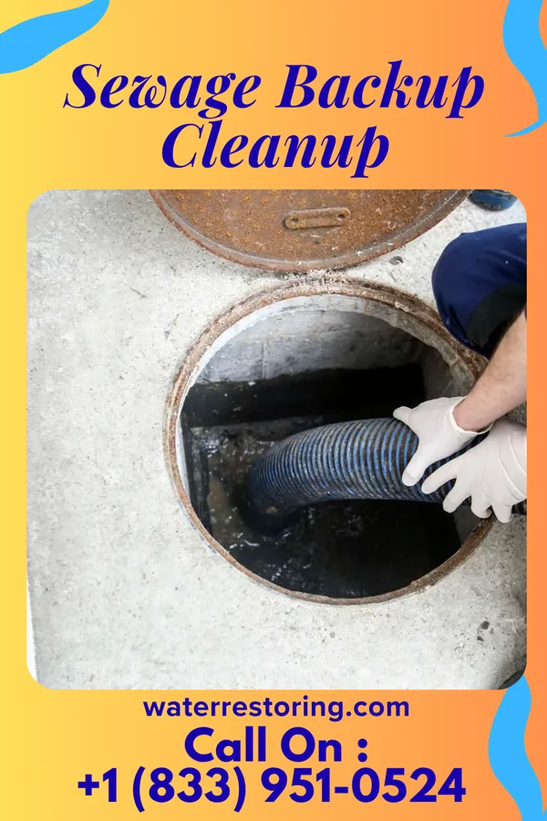 Sewage Backup Cleanup in Wind Lake, WI
